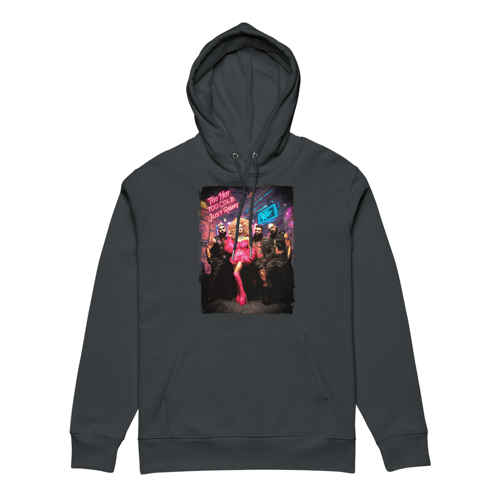 Goldie & Bears hoodie in India Ink Grey, front